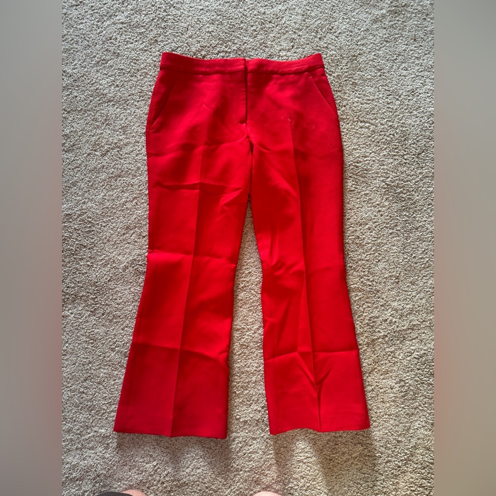 Alexander McQueen pants